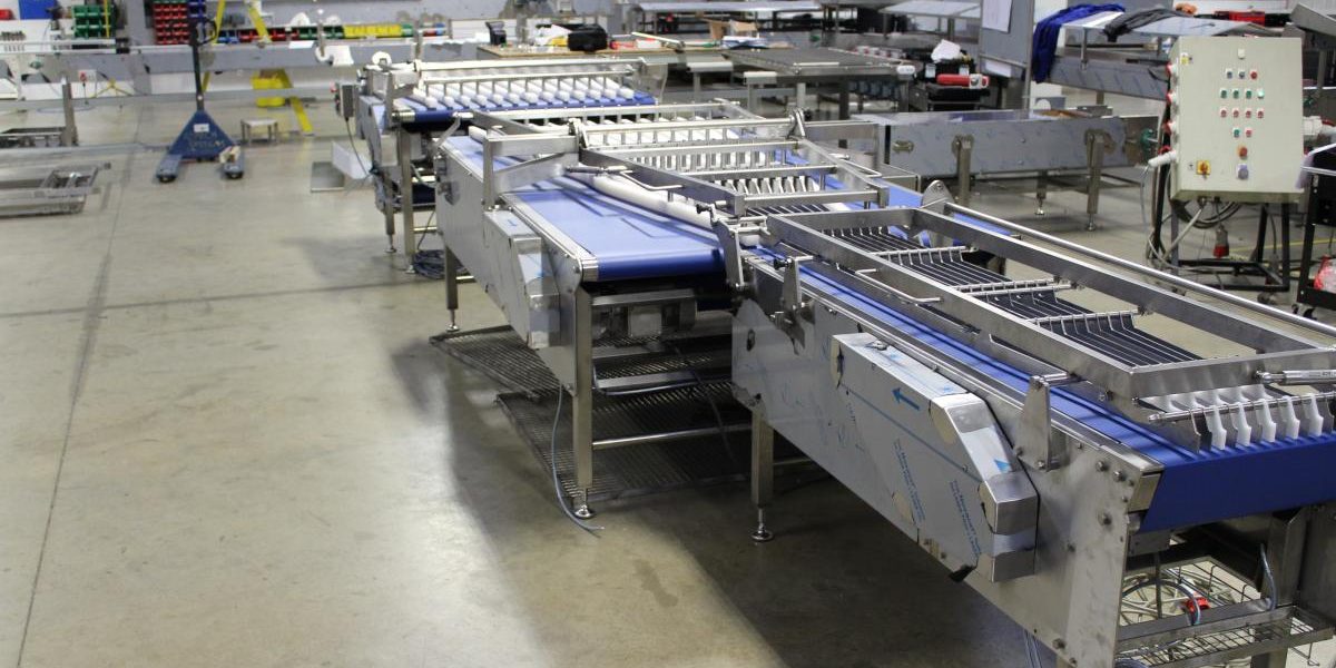 A hotsell conveyor belt